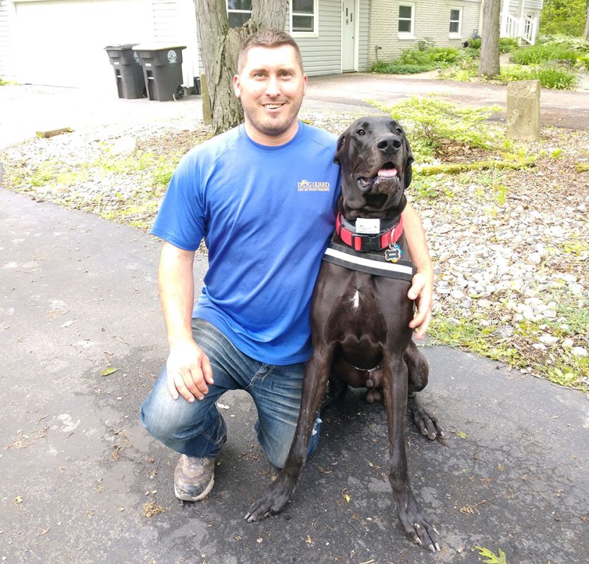 Why Choose Dog Guard of NE Indiana to Protect Your Pet Dog Guard